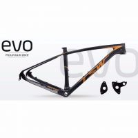 TSW EVO